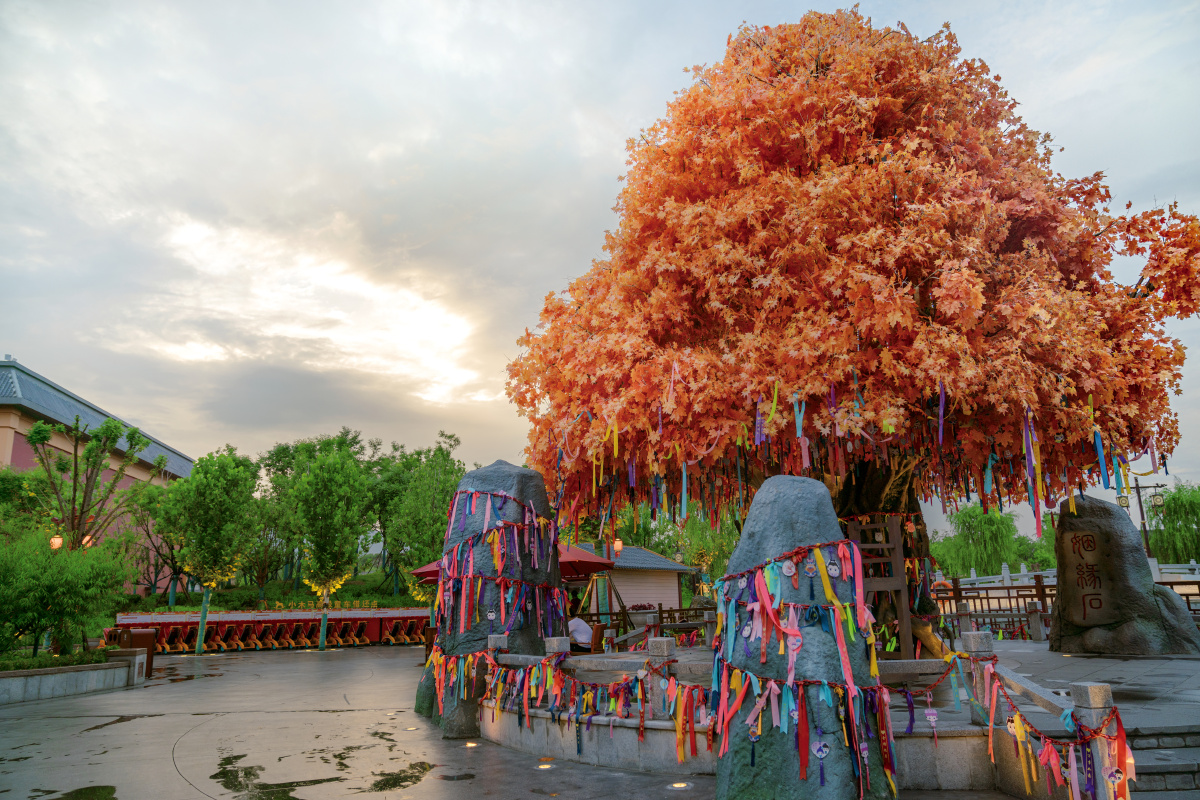 那天我在姻缘树下许了个愿望