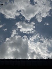 2F95002B-B86C-4226-8090-0D65A7DD7EAF/L0/001