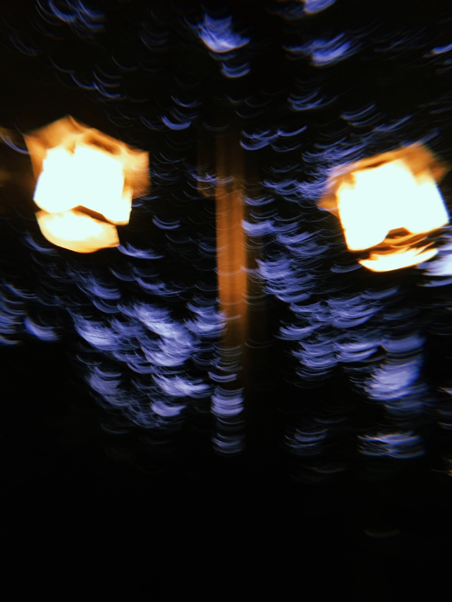 树上的光斑伴随着路灯飞舞