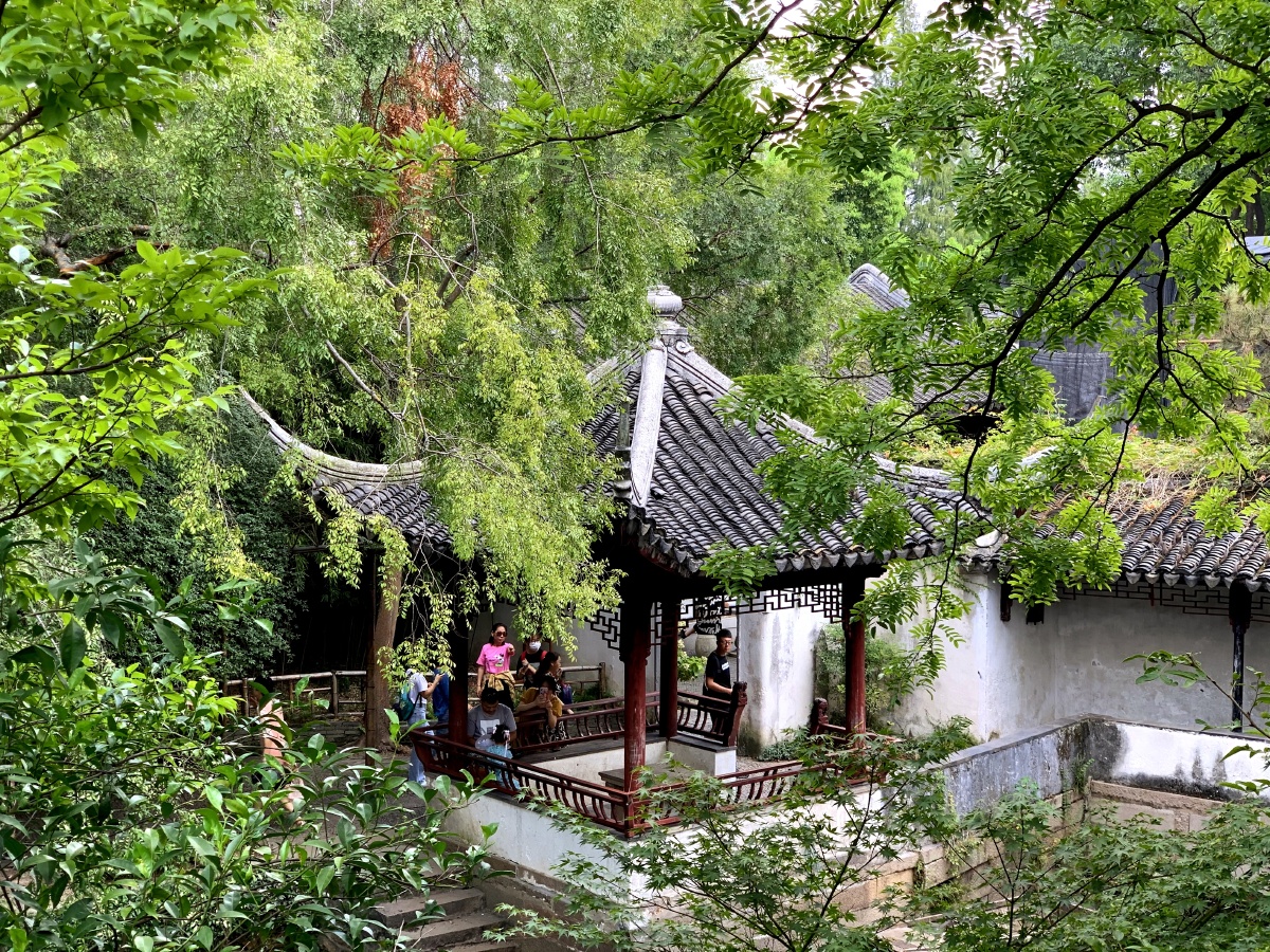 苏州拙政园夏天旅游荷花亭子