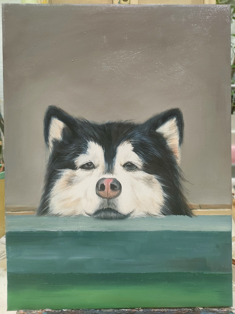 给朋友画的宠物油画纯手绘