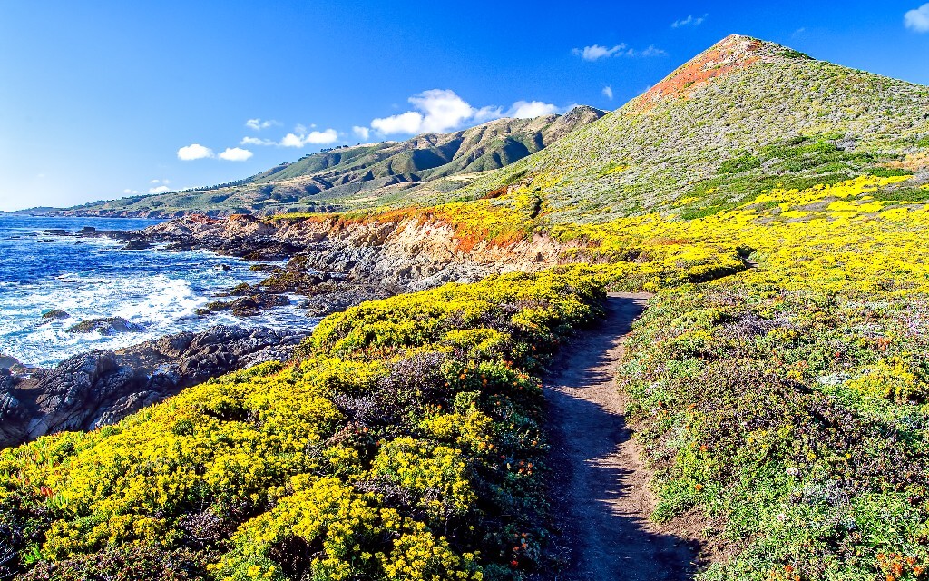 海边有山有花美景