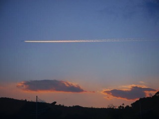 1136312
