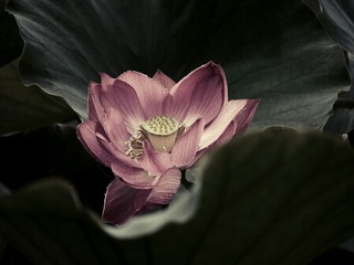 148050