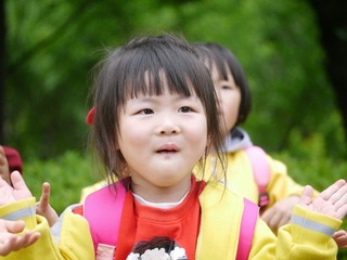 165040