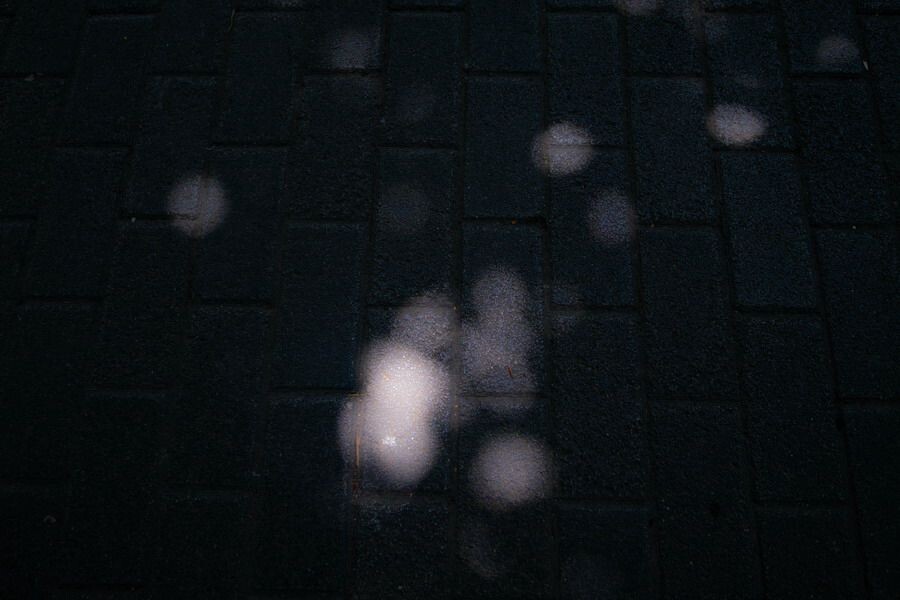 R0011331<br />
