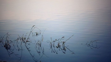 img_9719_副本.jpg