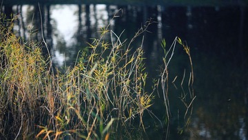 img_9687_副本.jpg