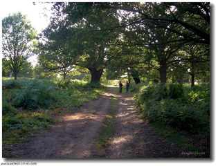 DSCN1475.jpg