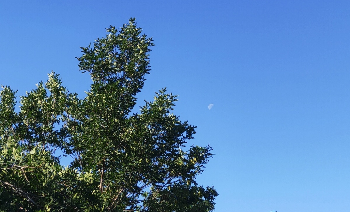 早上九点半的太阳