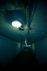 IMG_4869.jpg