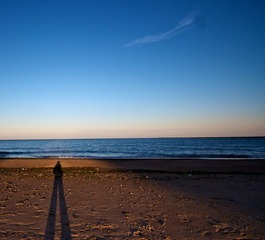 IMG_4976.jpg