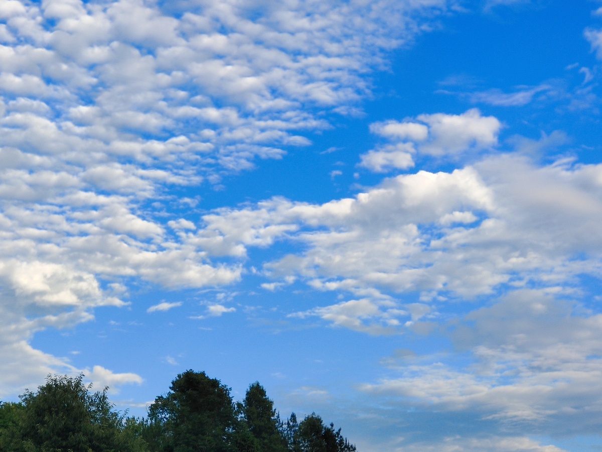 蓝蓝的天空白云飘白云下面有我在拍照
