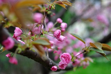 DSC_4758.jpg