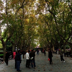襄阳公园20131122