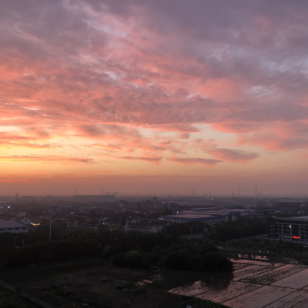 新一批的粉红色夕阳来啦看到的人都可以心想事成