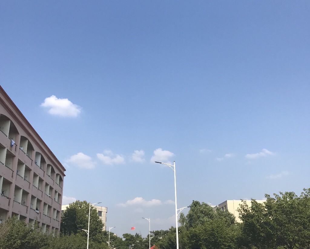 走在菏院文明西路的随拍