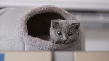 14122