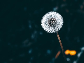 1000051744