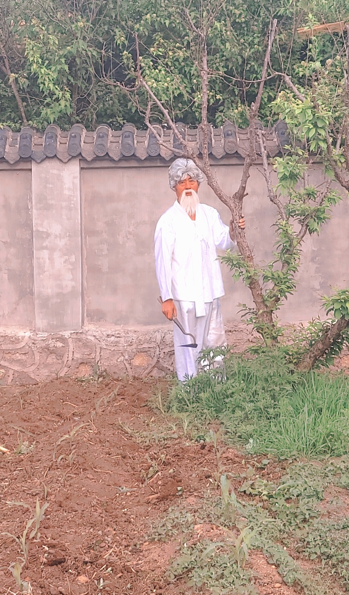 白发白须老大爷