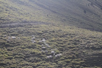 IMG_9414.JPG