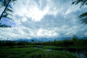 大理阳光.jpg