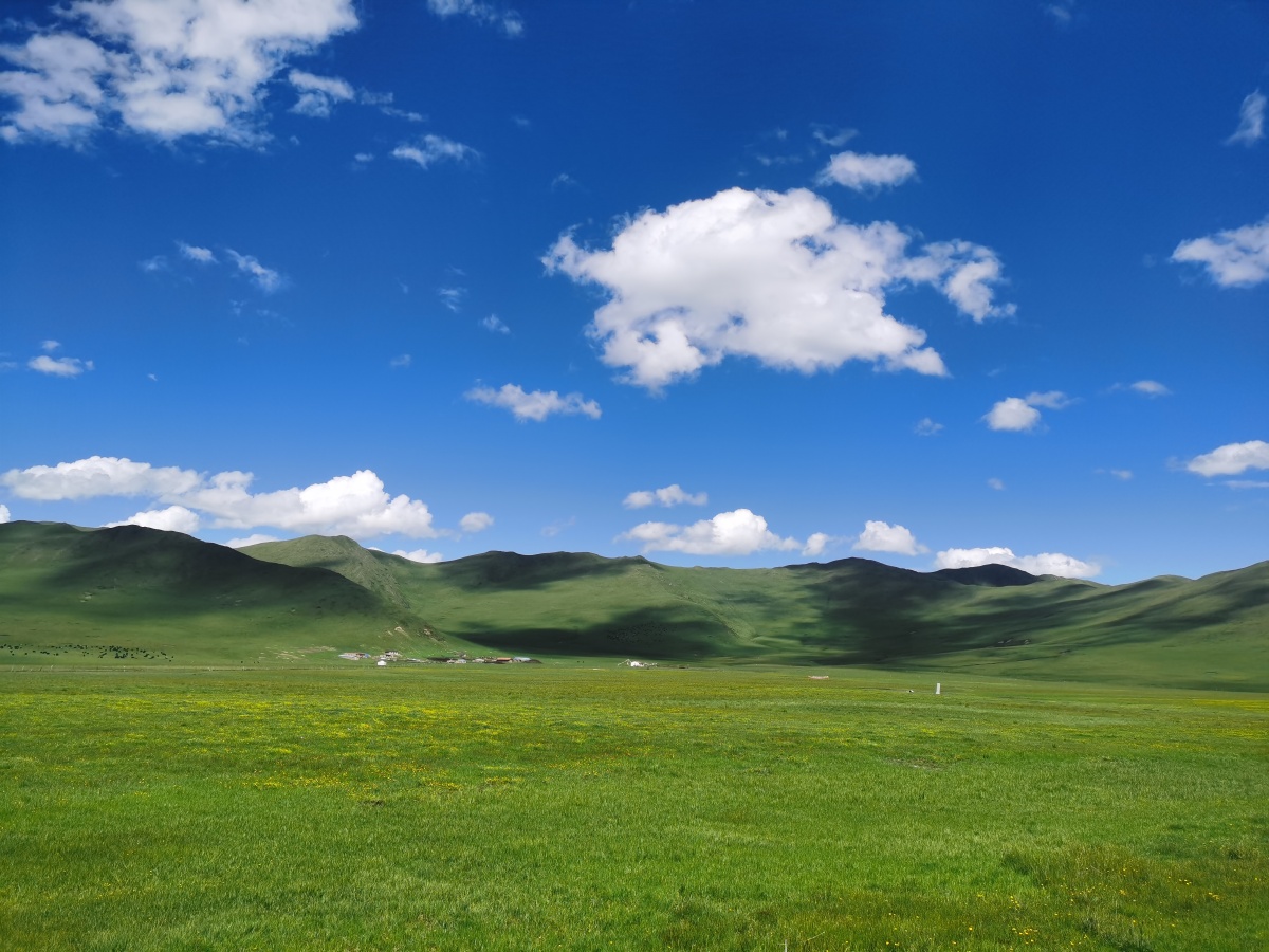 草原之心千弯湿地阿坝县漫扎唐湿地风景区