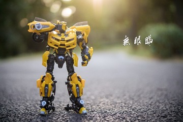 139065