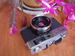 SV600488.JPG