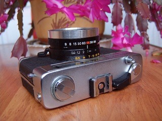SV600490.JPG