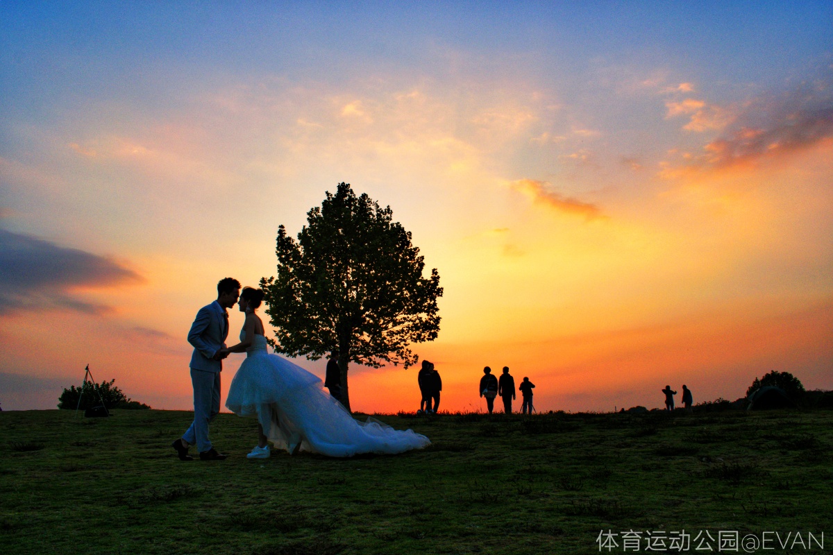 对待爱情的憧憬与渴望……一棵孤独的树却见证了他们的爱情