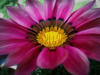 RIMG2379_