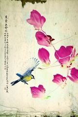 DPP_0004as