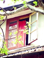 IMG_6743_副本.jpg