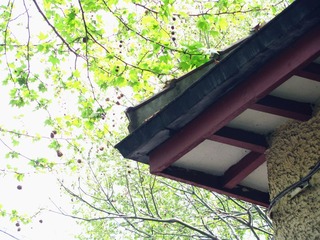 IMG_6733_副本.jpg