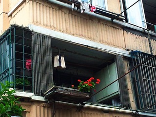 夏未至，雨初歇01.jpg