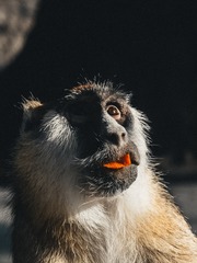626880