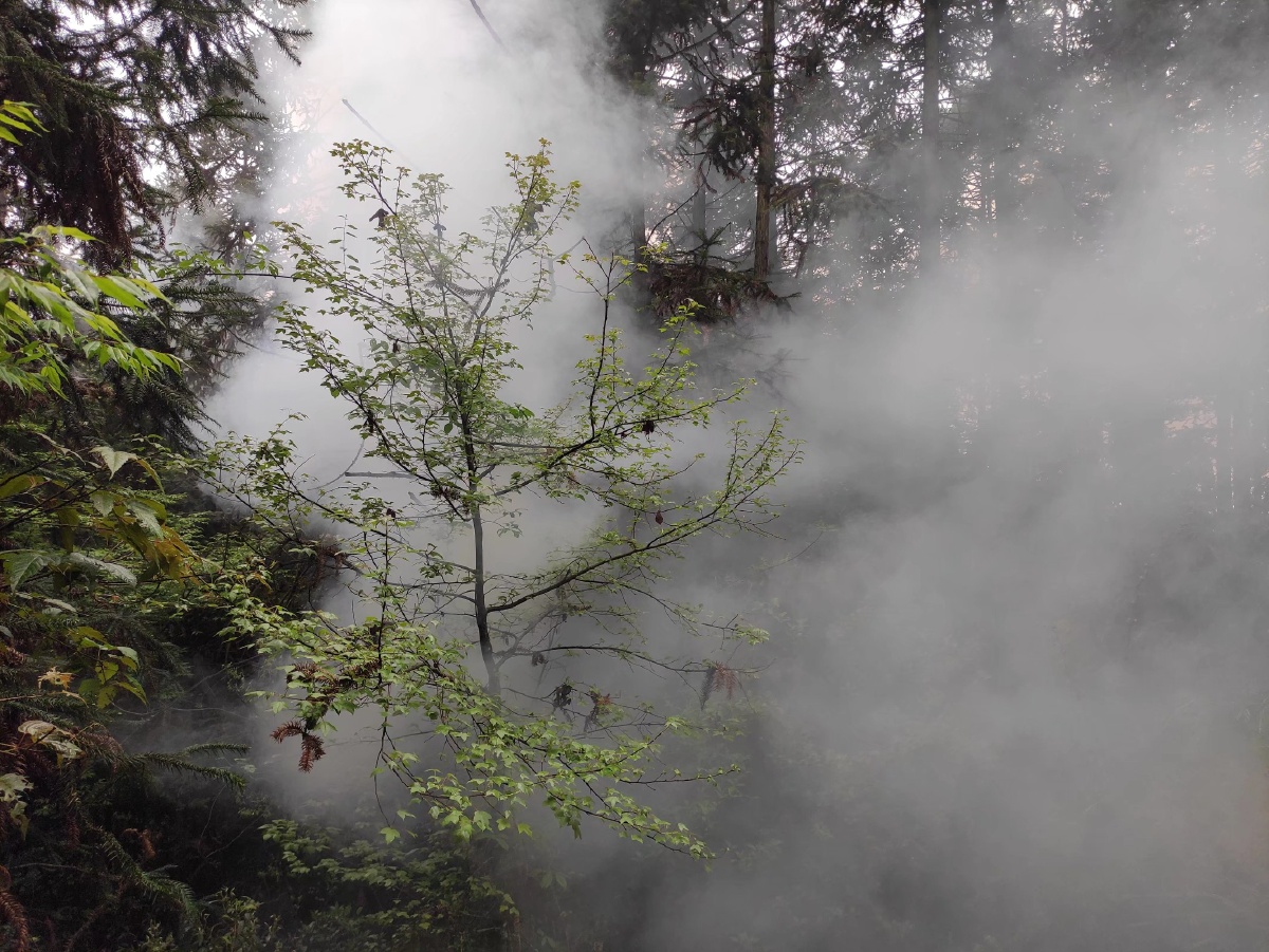 这雾气腾腾的07