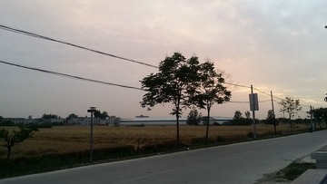 784453