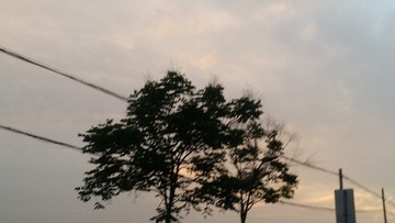 784450