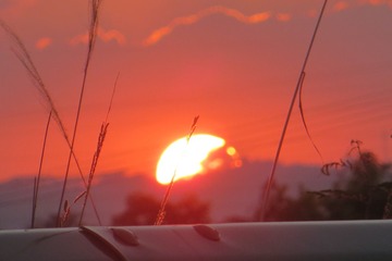 30DF525B-AD30-4503-9916-ED00B2658D6B/L0/001