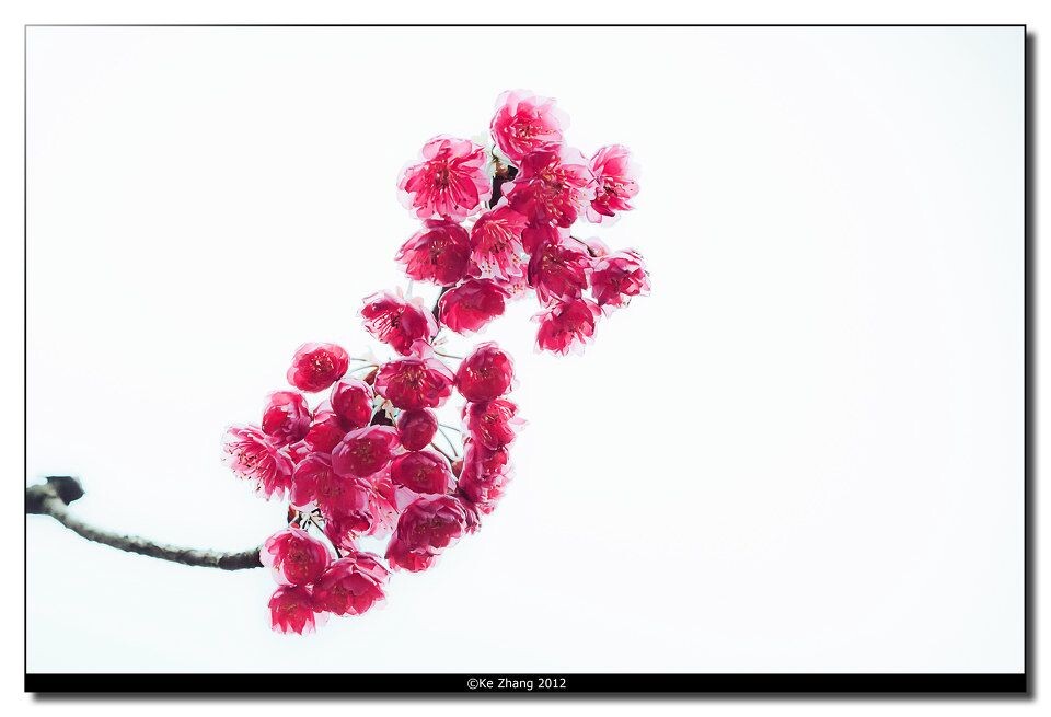 ©Ke Zhang