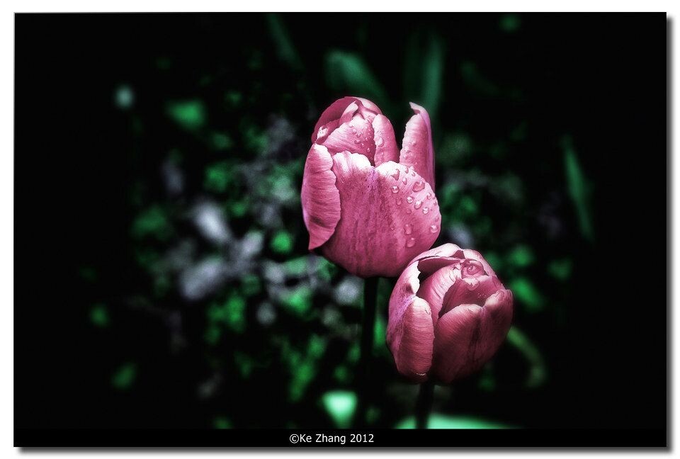 ©Ke Zhang