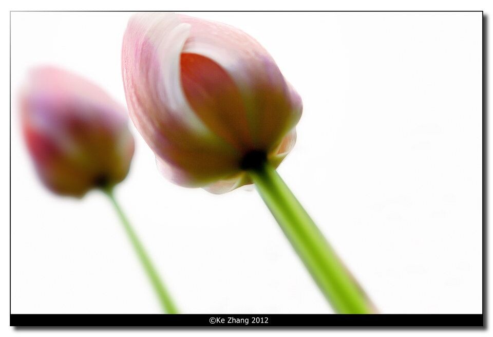 ©Ke Zhang