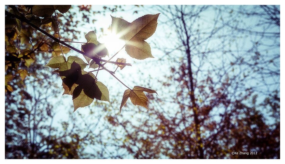 sunshine<br />
©Ke Zhang