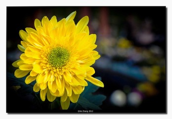 IMG_0351.jpg