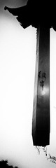 _1000450-编辑.jpg