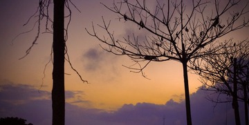 IMGP9572.jpg