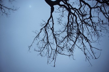 IMGP9369.jpg