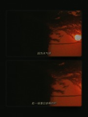3396360